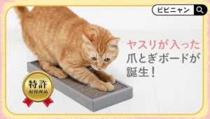 neconex　爪とぎ　猫
